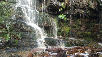  Silvermine Hiking Trail