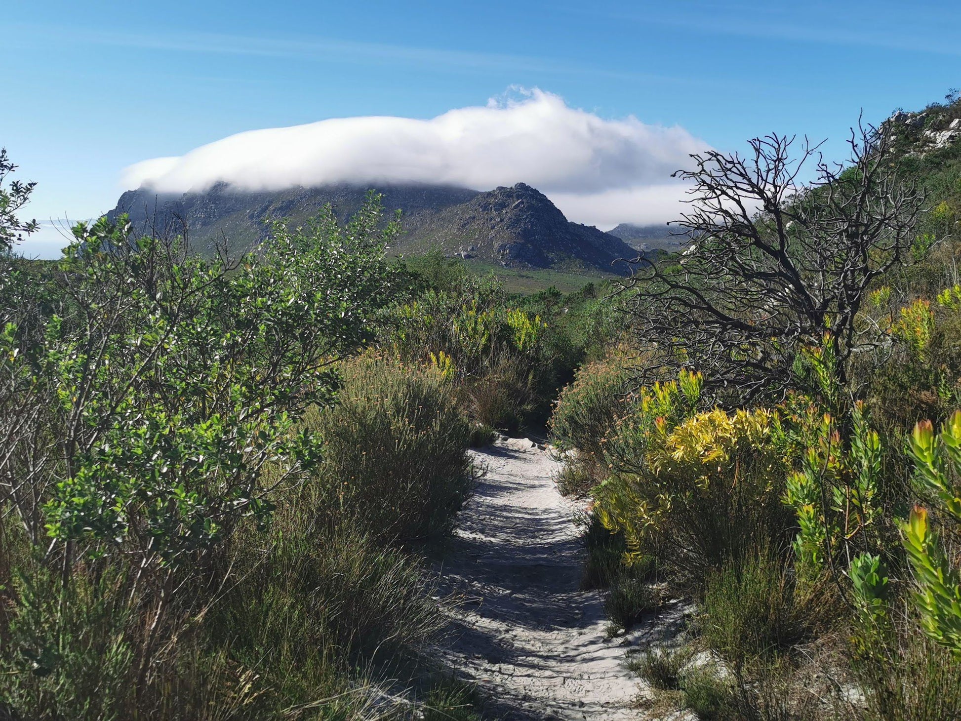  Silvermine Nature Reserve