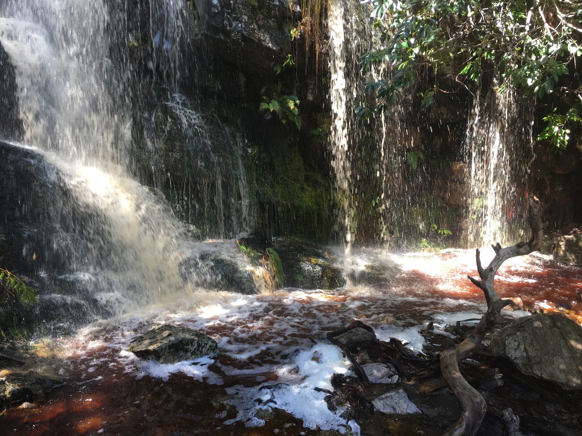  Silvermine Nature Reserve