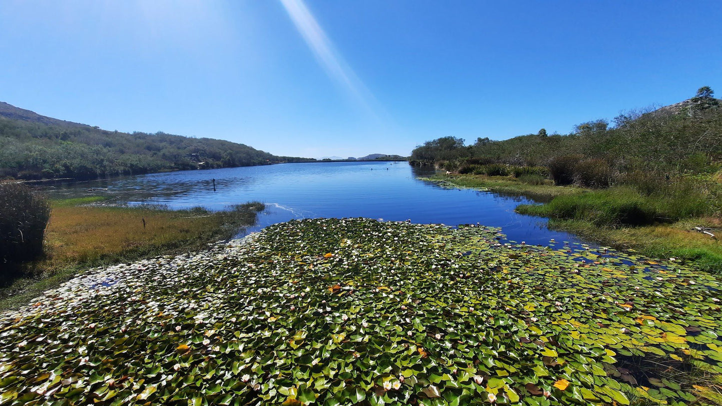  Silvermine Nature Reserve