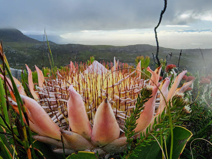  Silvermine Nature Reserve