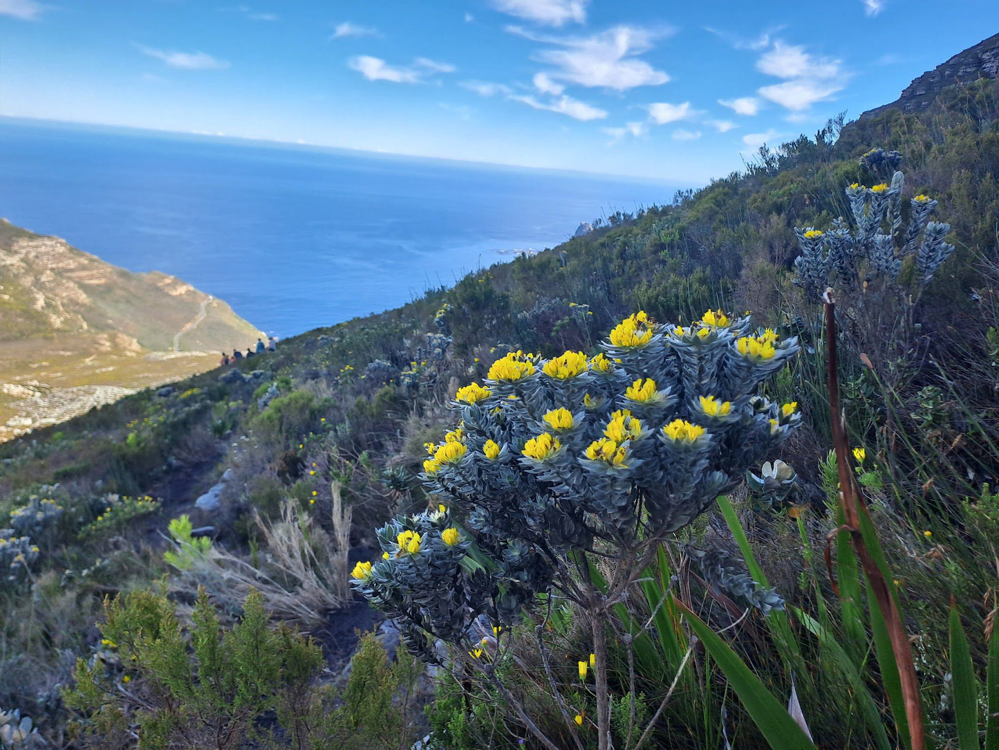  Silvermine Nature Reserve