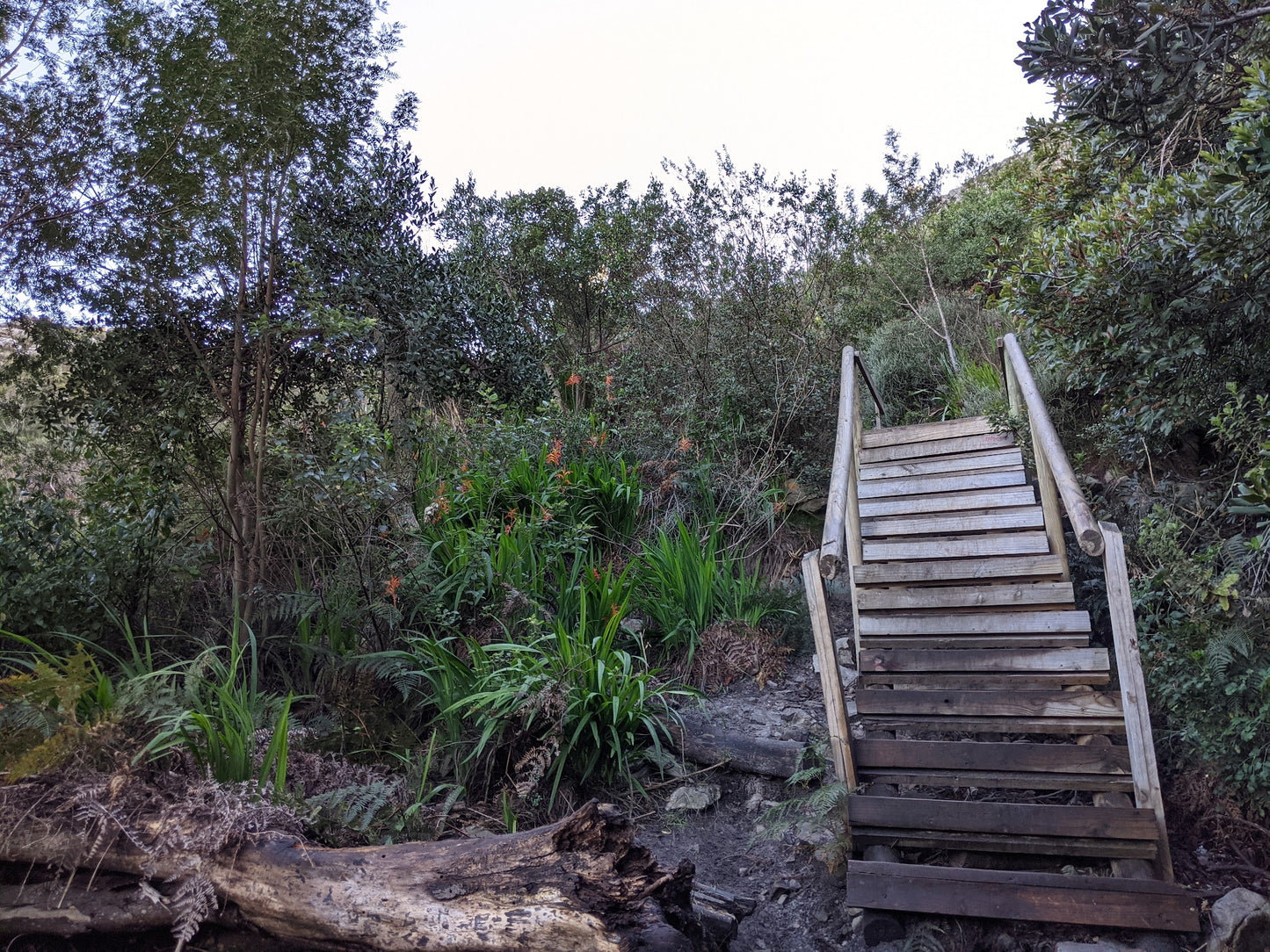 Silvermine Waterfall