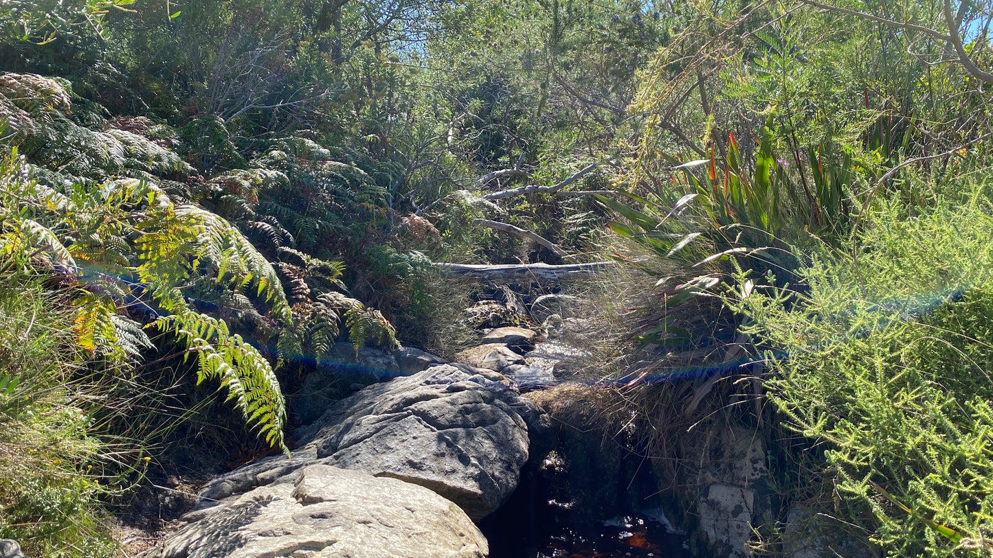 Silvermine Waterfall