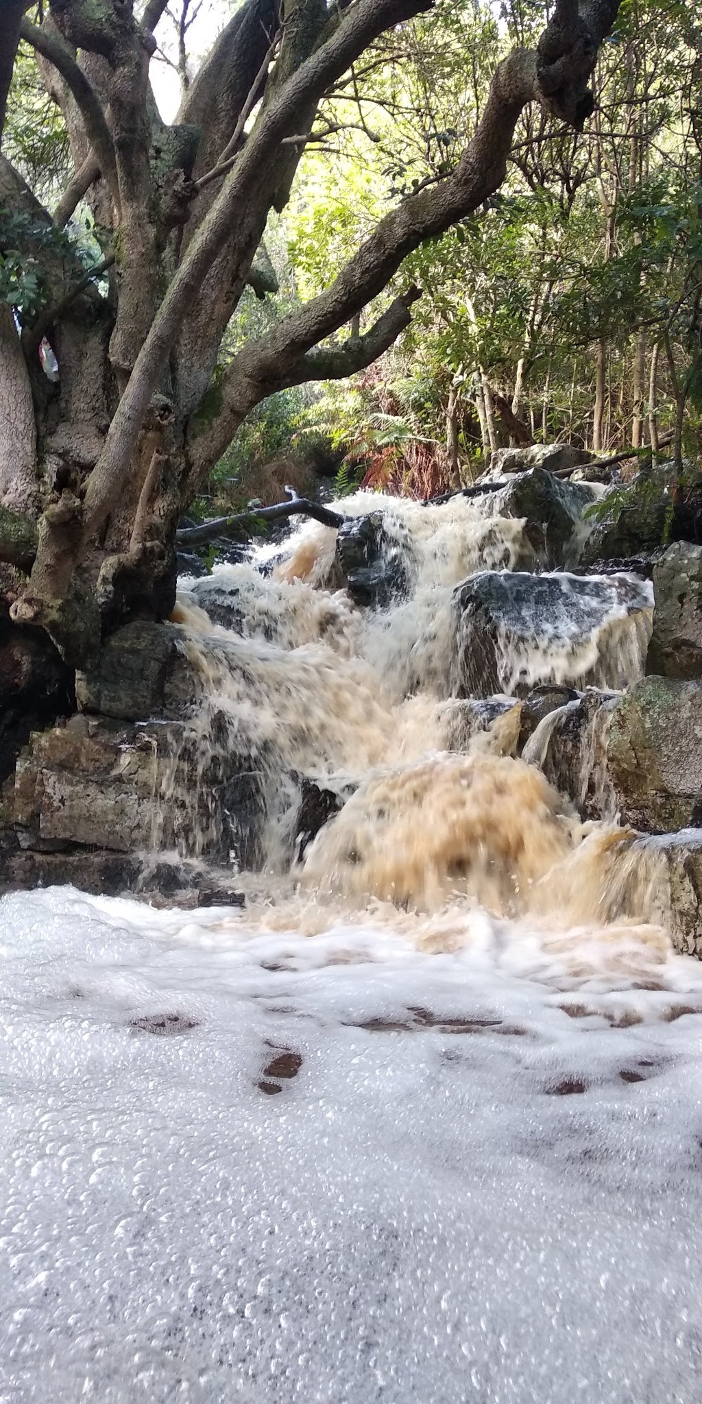 Silvermine Waterfall