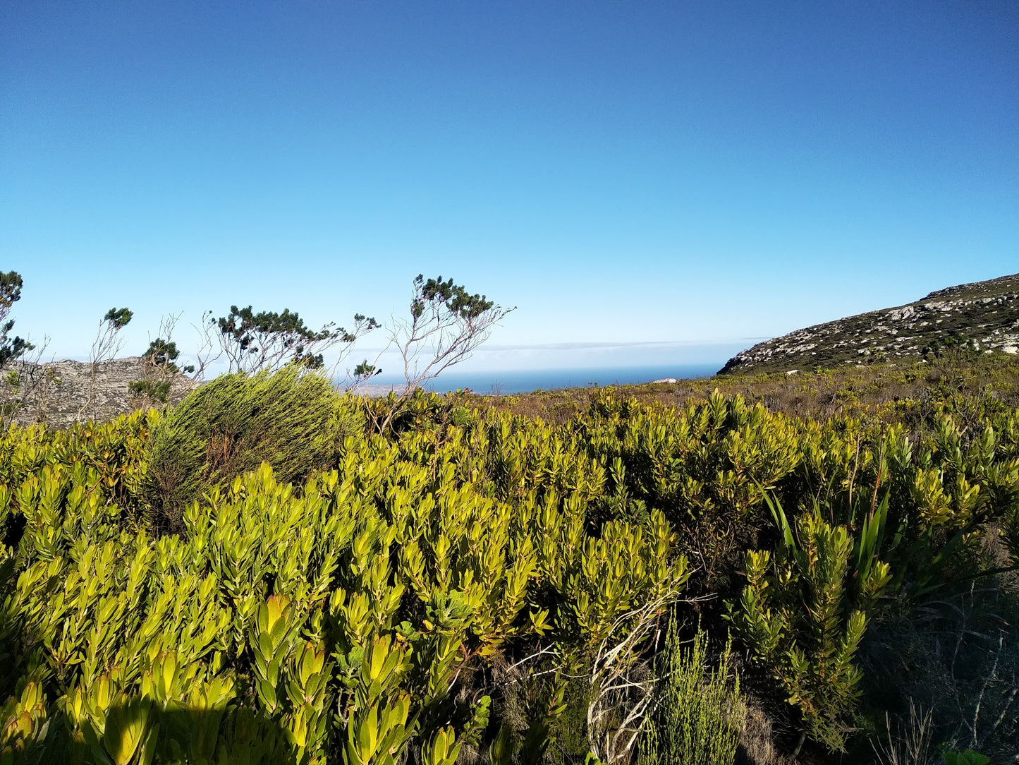 Silvermine Waterfall