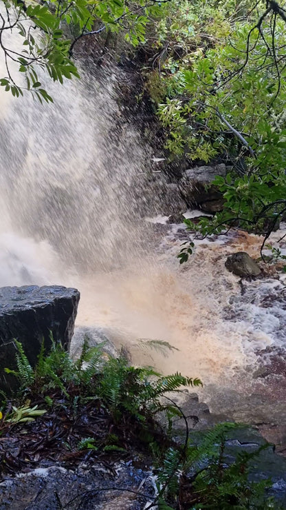 Silvermine Waterfall