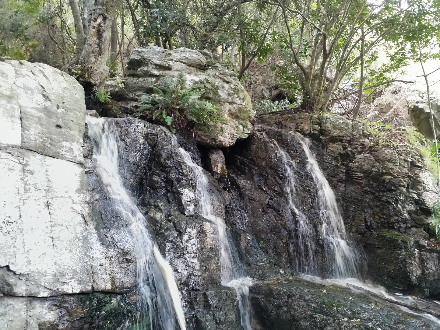 Silvermine Waterfall