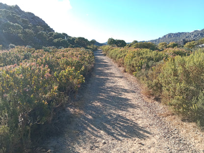 Silvermine Waterfall