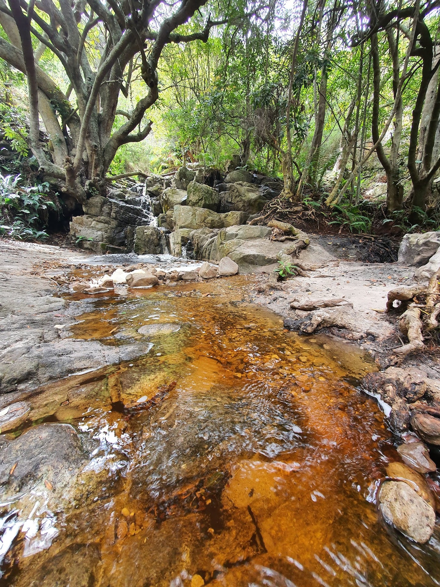 Silvermine Waterfall