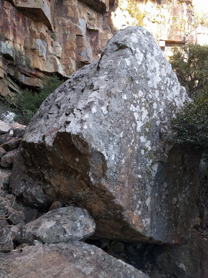  Silverstream Waterfall