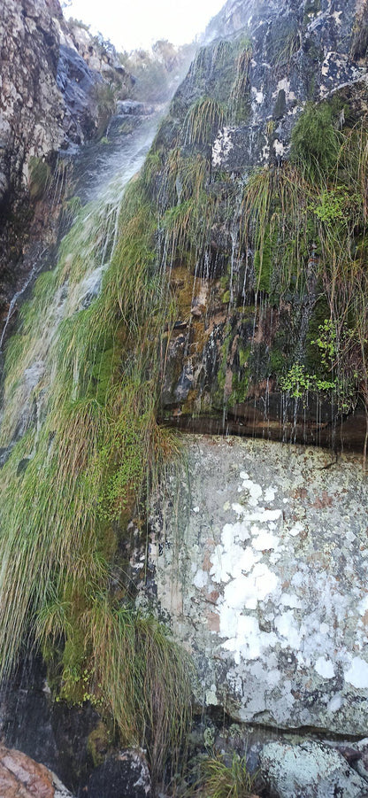  Silverstream Waterfall