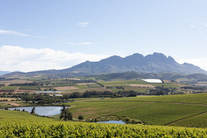  Simonsig Wine Estate