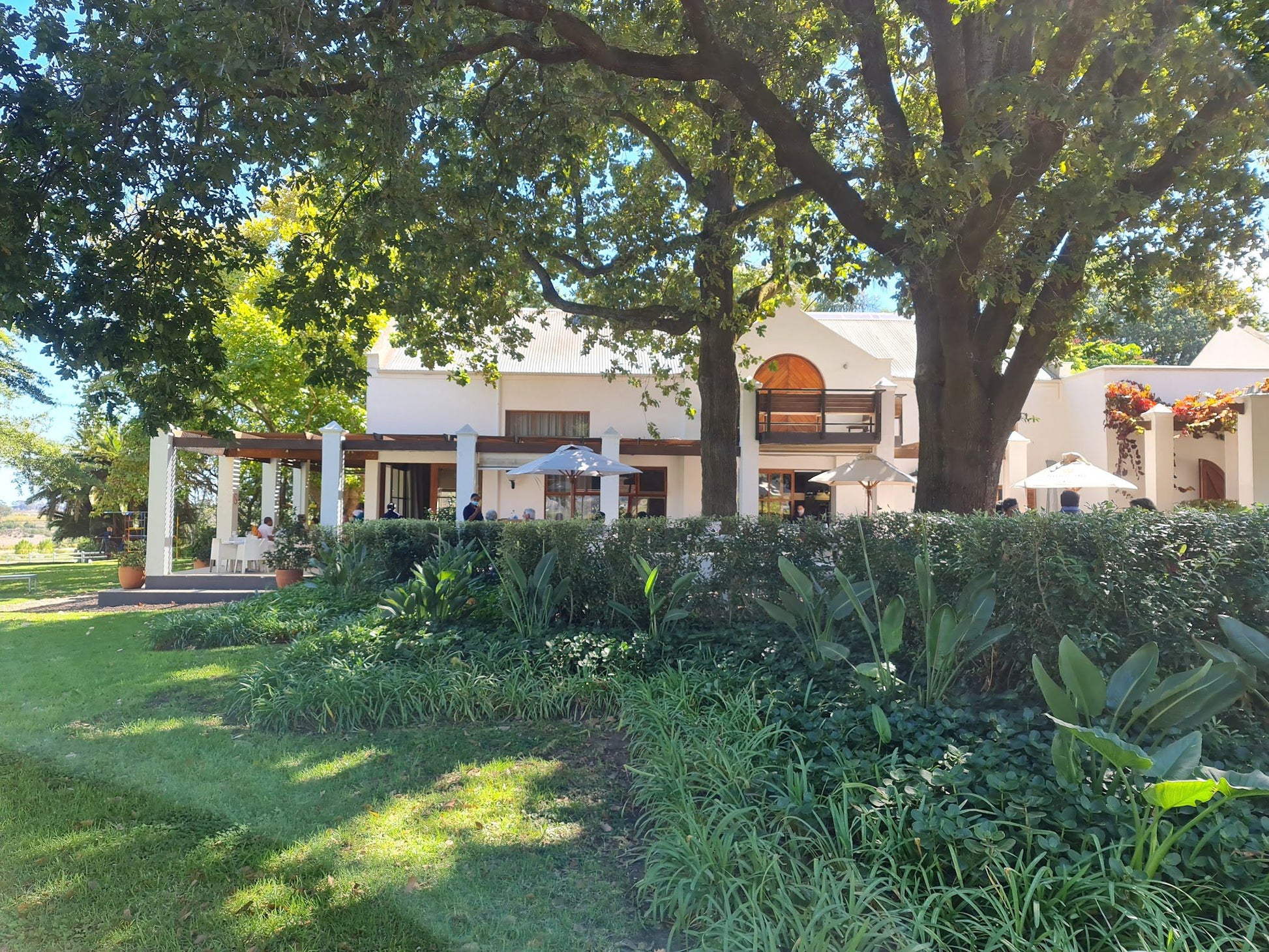  Simonsig Wine Estate