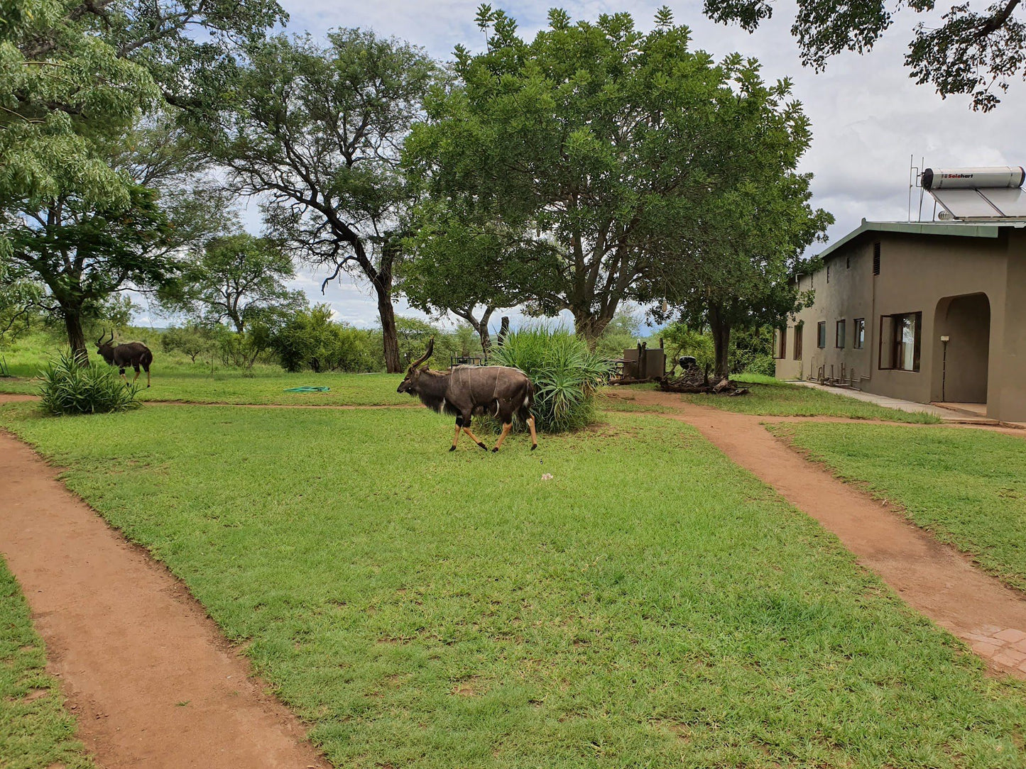  Siyafunda Wildlife & Conservation