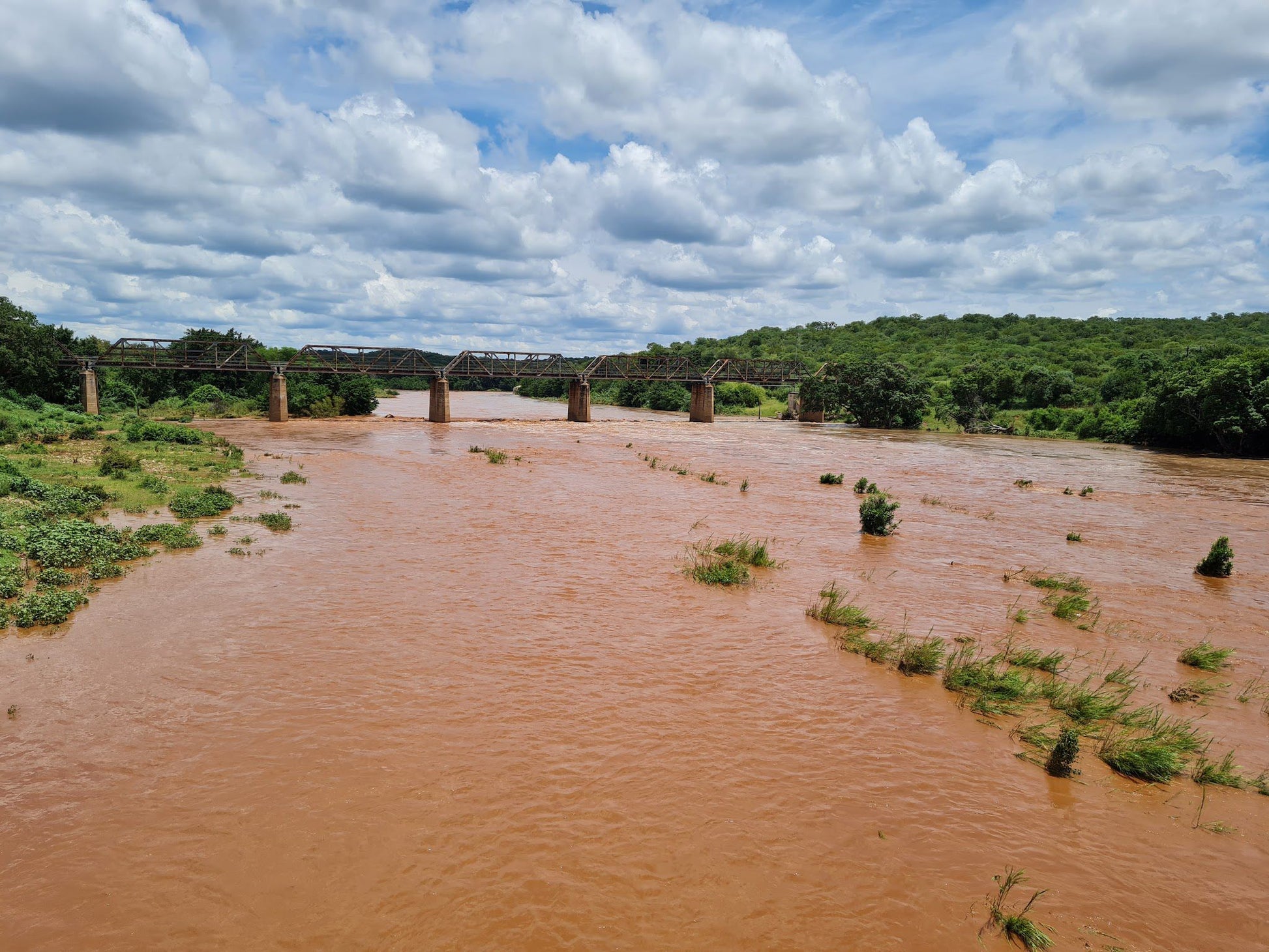  Siyafunda Wildlife & Conservation