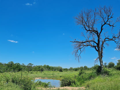  Siyafunda Wildlife & Conservation