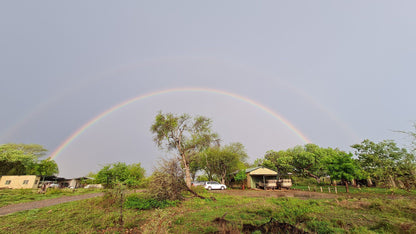  Siyafunda Wildlife & Conservation