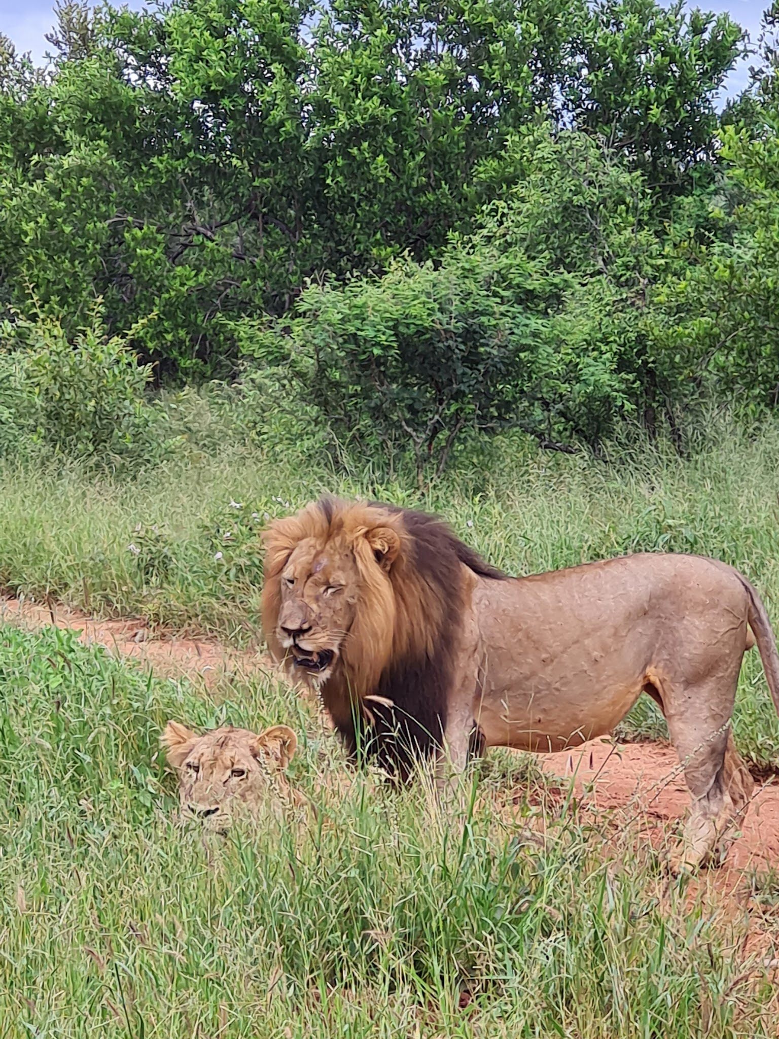  Siyafunda Wildlife & Conservation