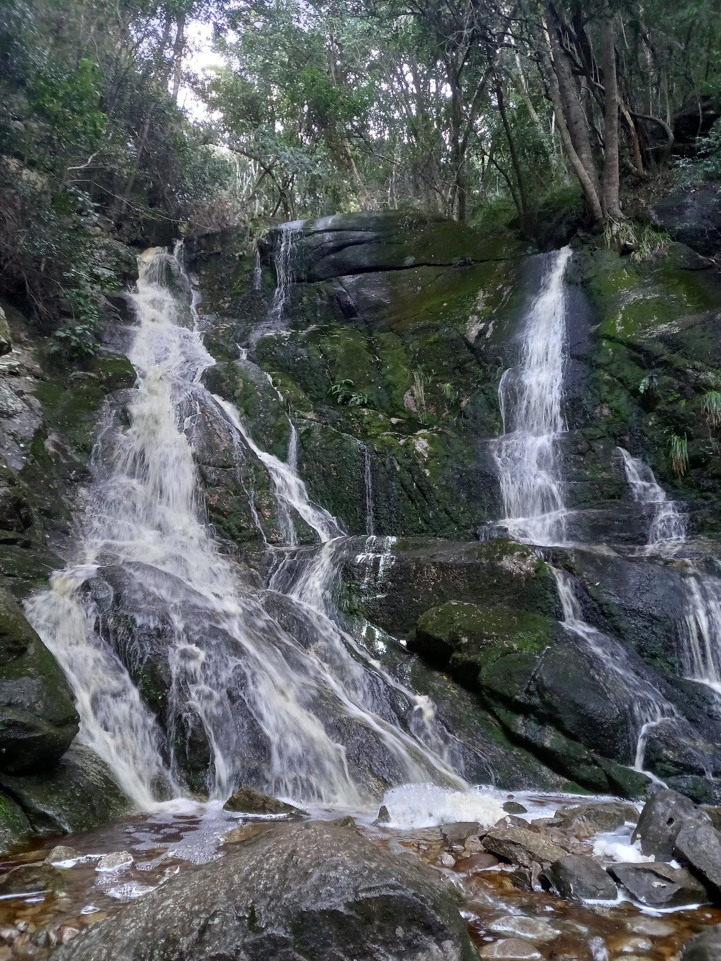 Skeleton Gorge Waterfall
