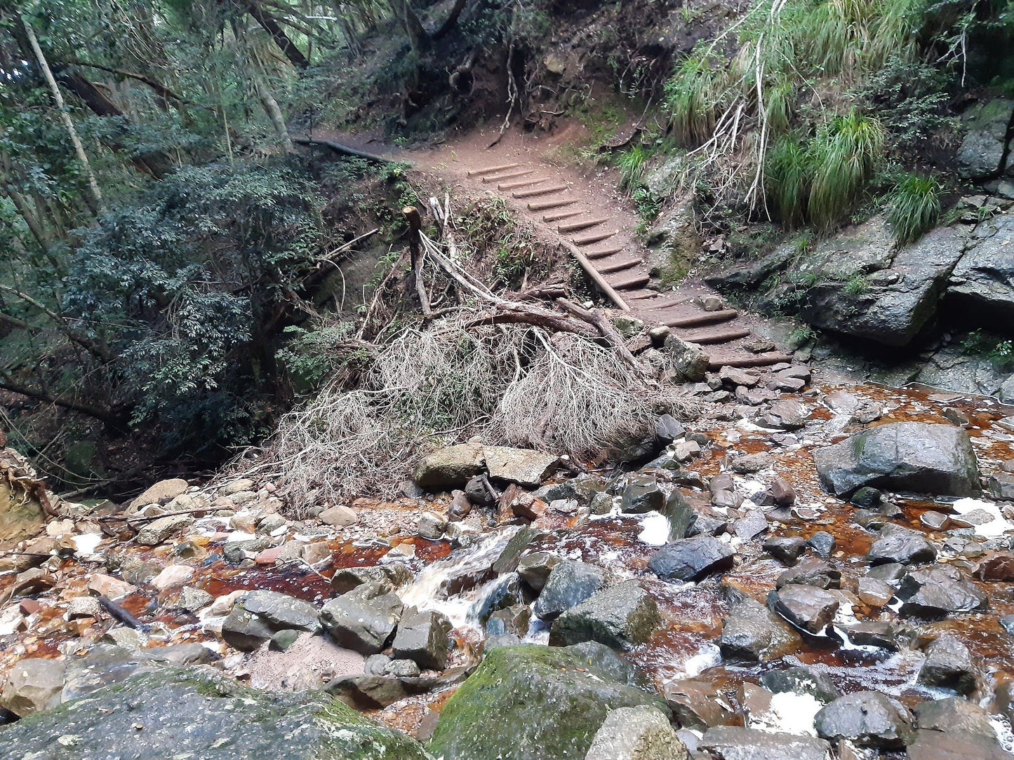 Skeleton Gorge Waterfall