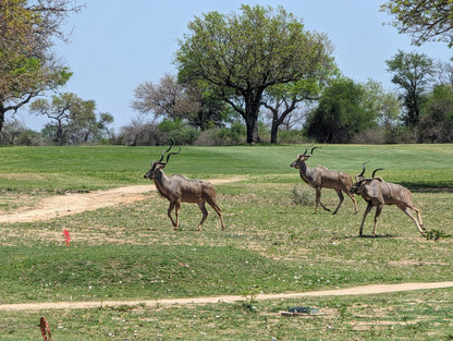  Skukuza Golf Club