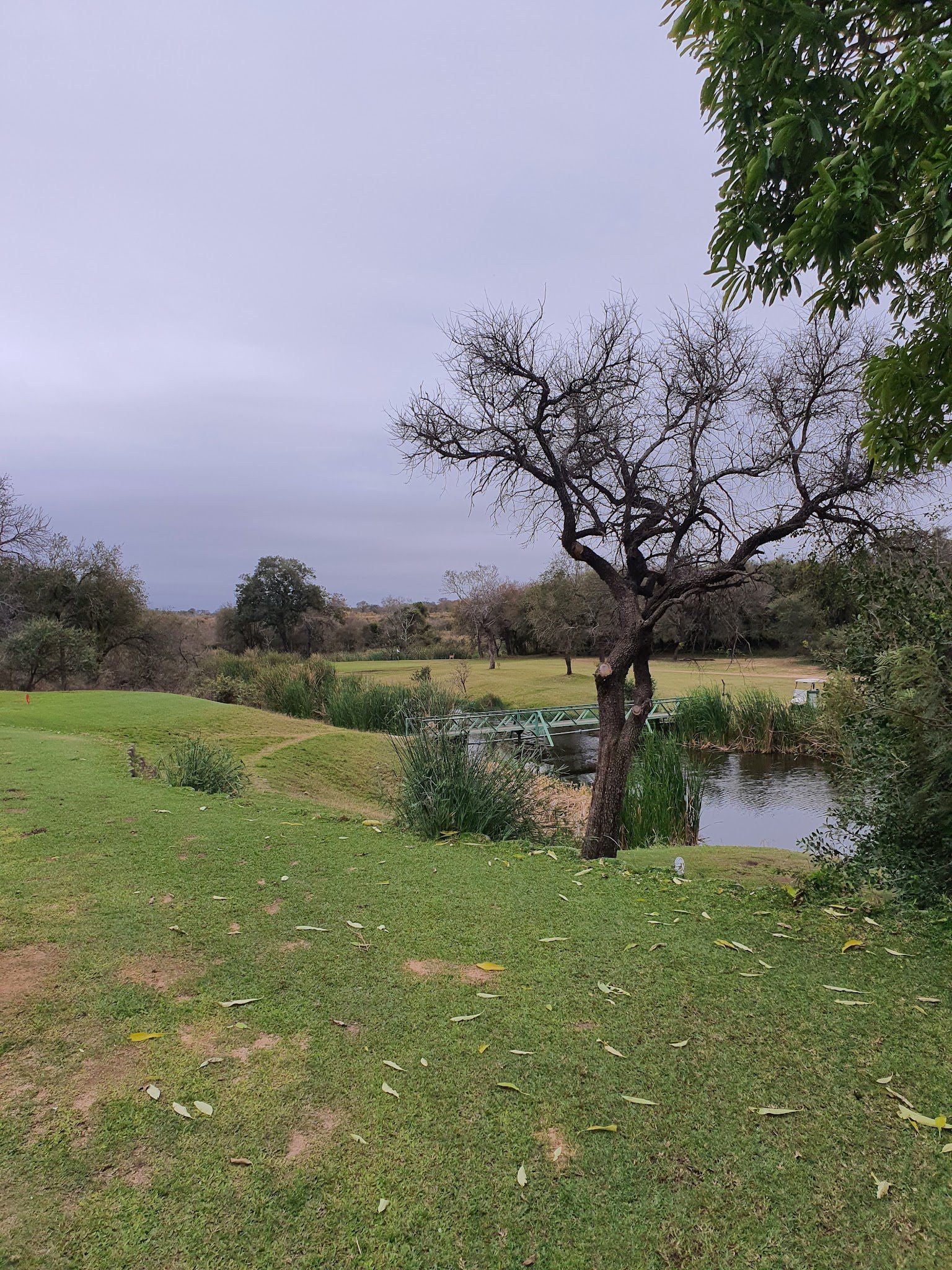  Skukuza Golf Club