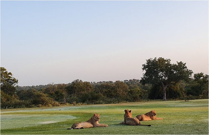  Skukuza Golf Club