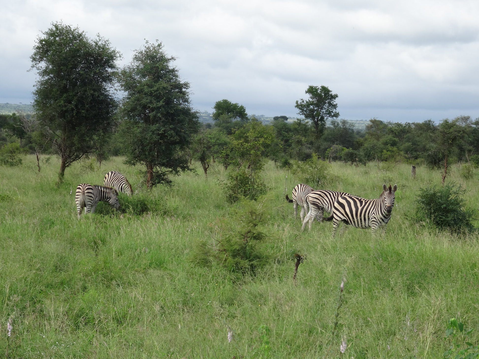  Skukuza Rest Camp