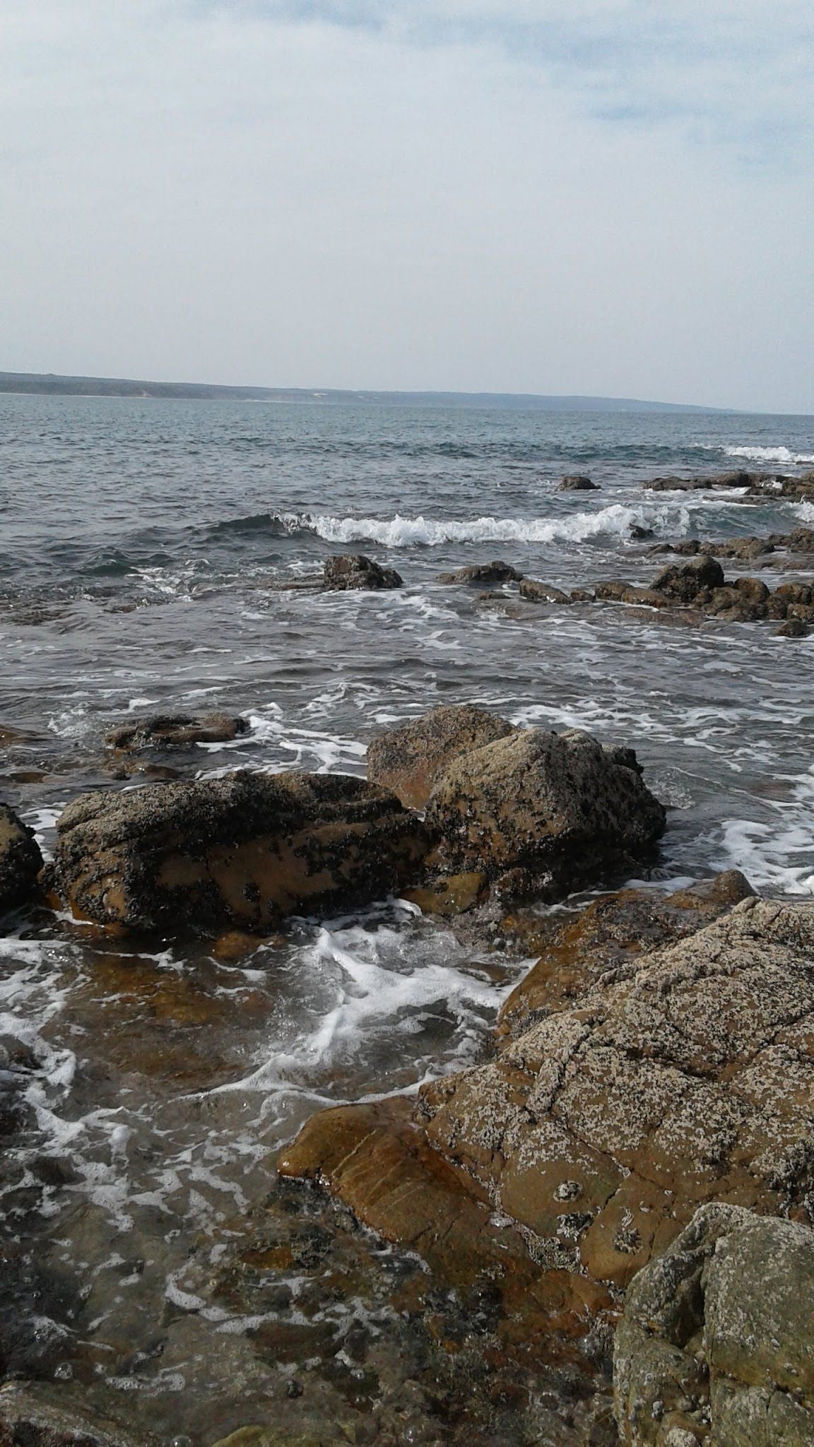  Skulpiesbaai Nature Reserve