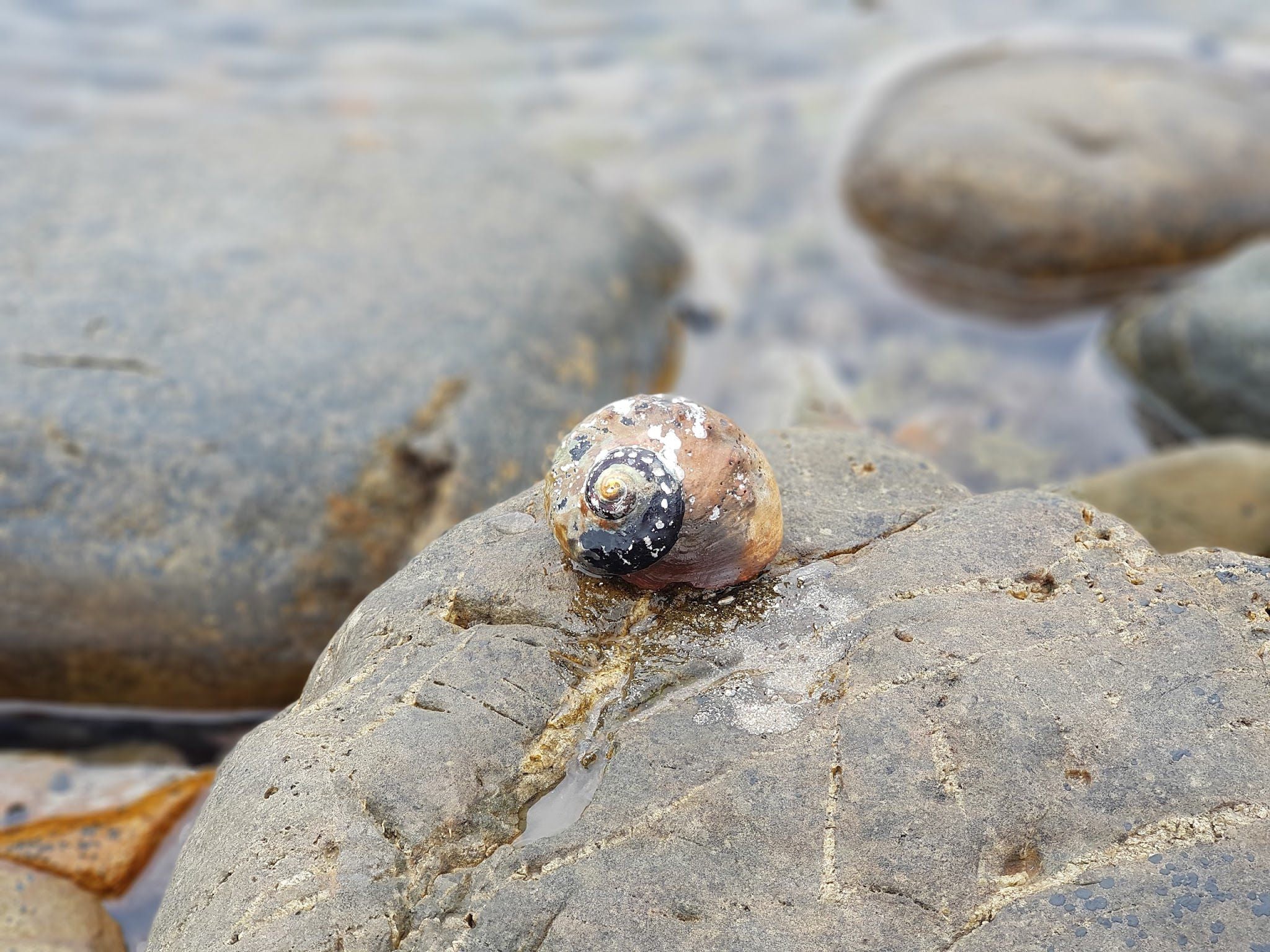  Skulpiesbaai Nature Reserve