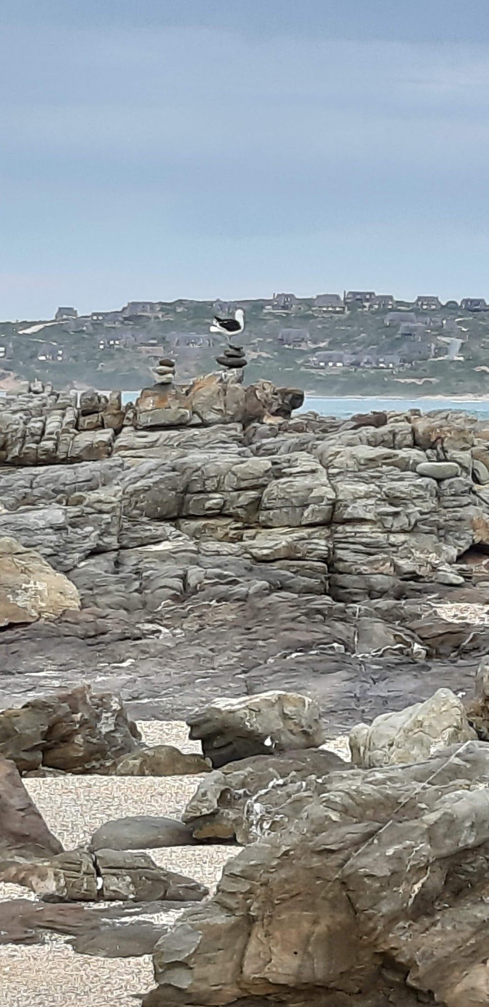  Skulpiesbaai Nature Reserve