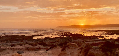  Skulpiesbaai Nature Reserve