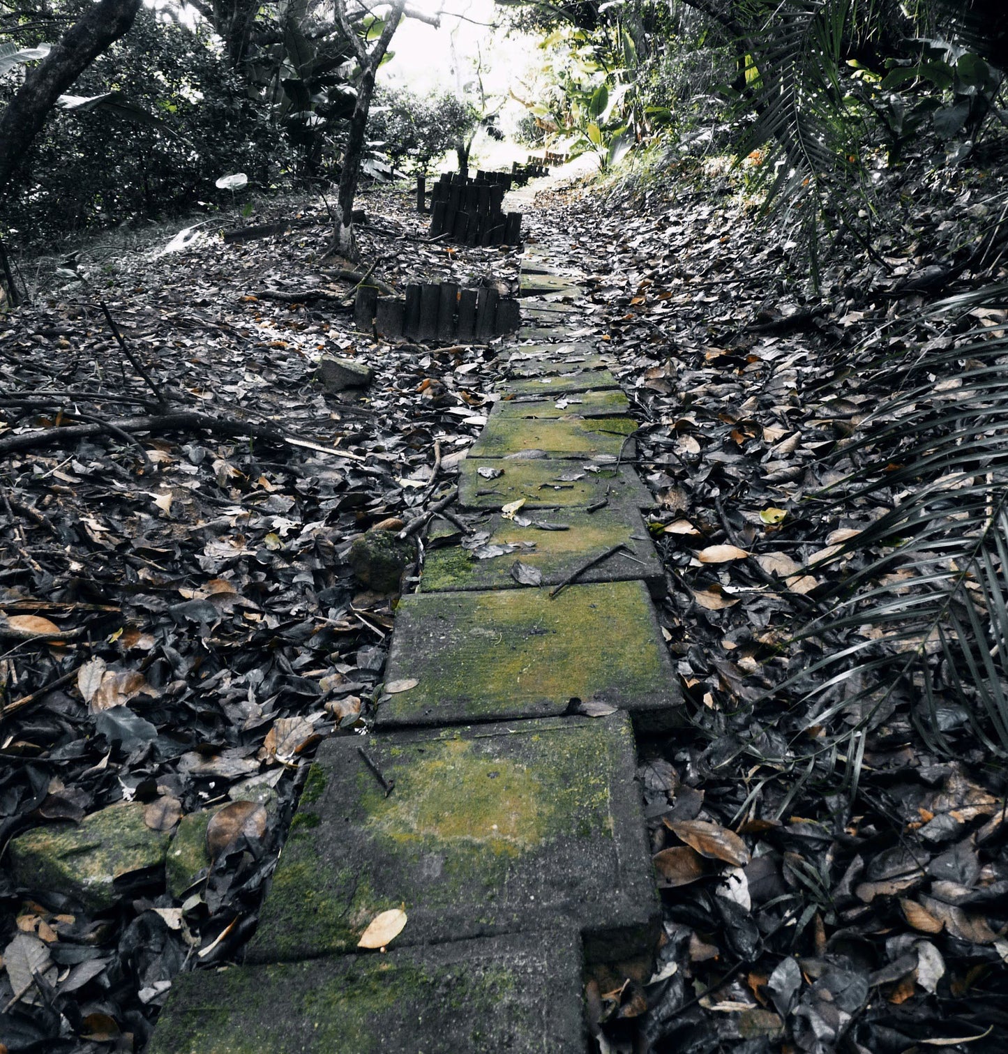  Skyline Nature Reserve