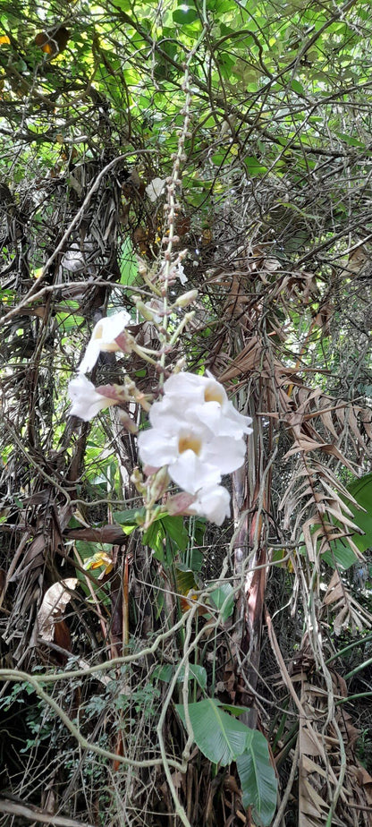  Skyline Nature Reserve