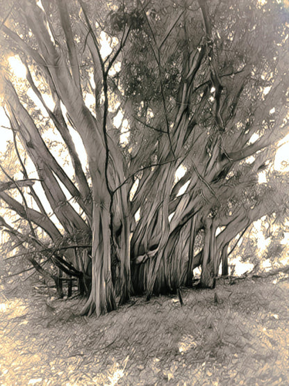  Skyline Nature Reserve