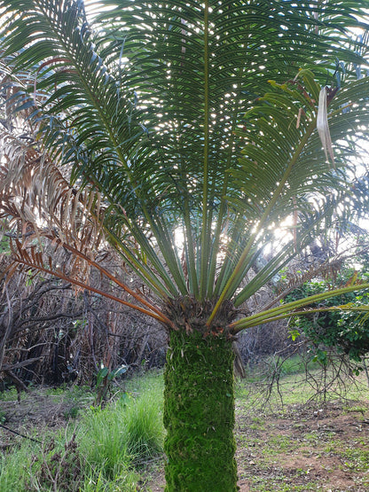  Skyline Nature Reserve