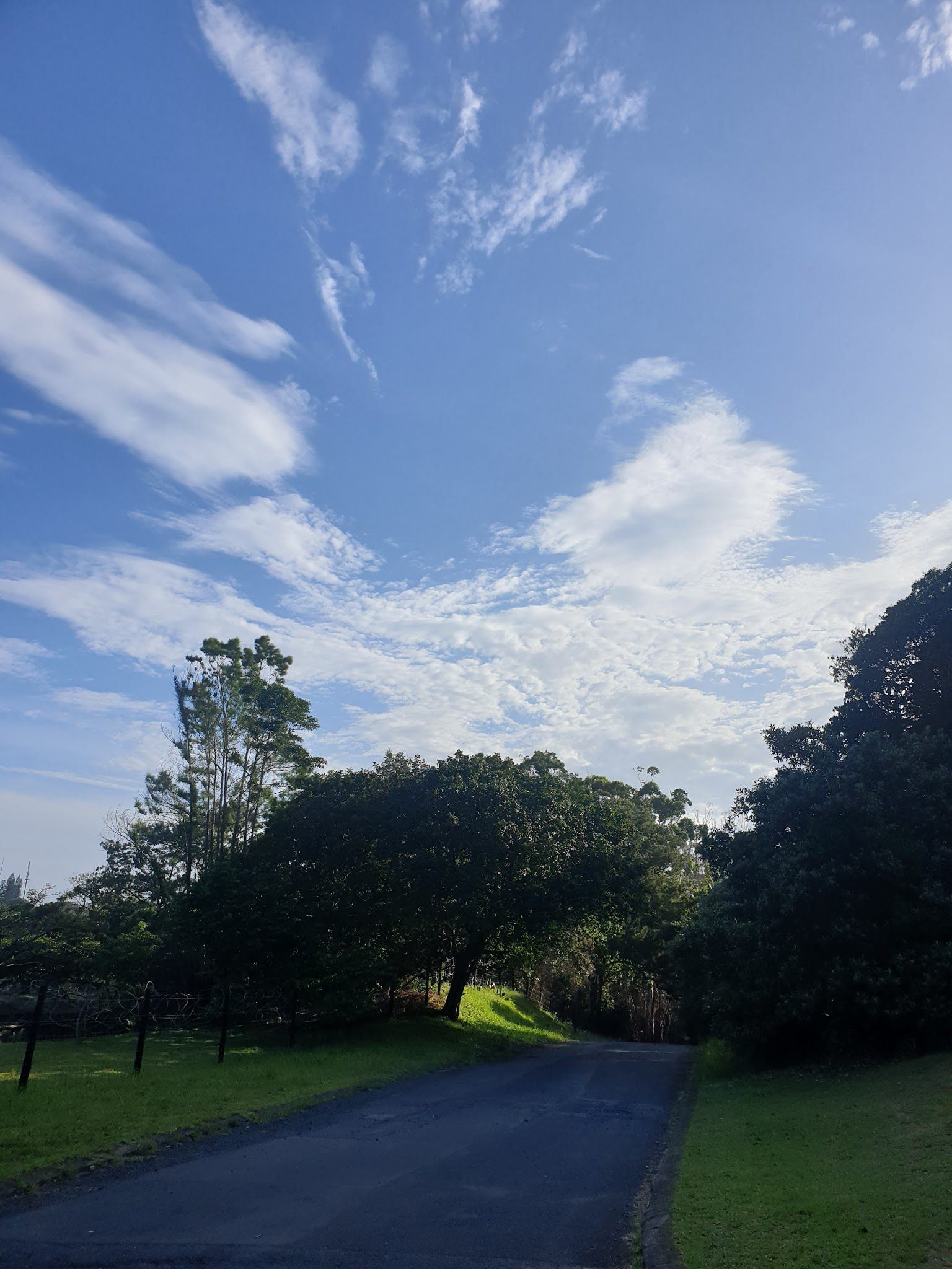  Skyline Nature Reserve