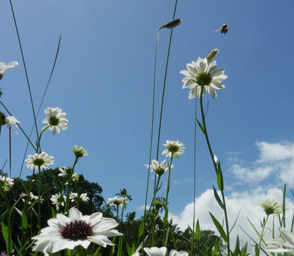  Skyline Nature Reserve