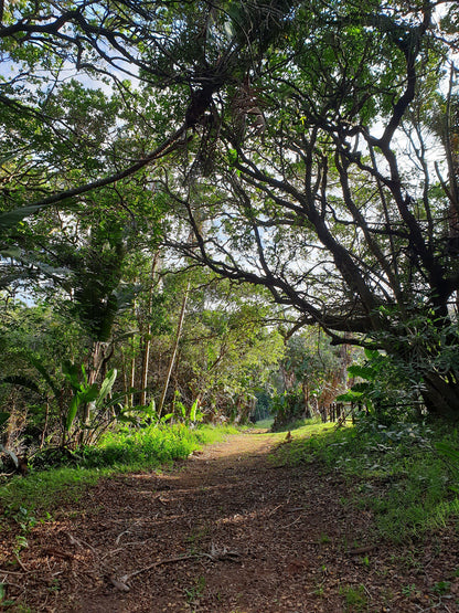  Skyline Nature Reserve