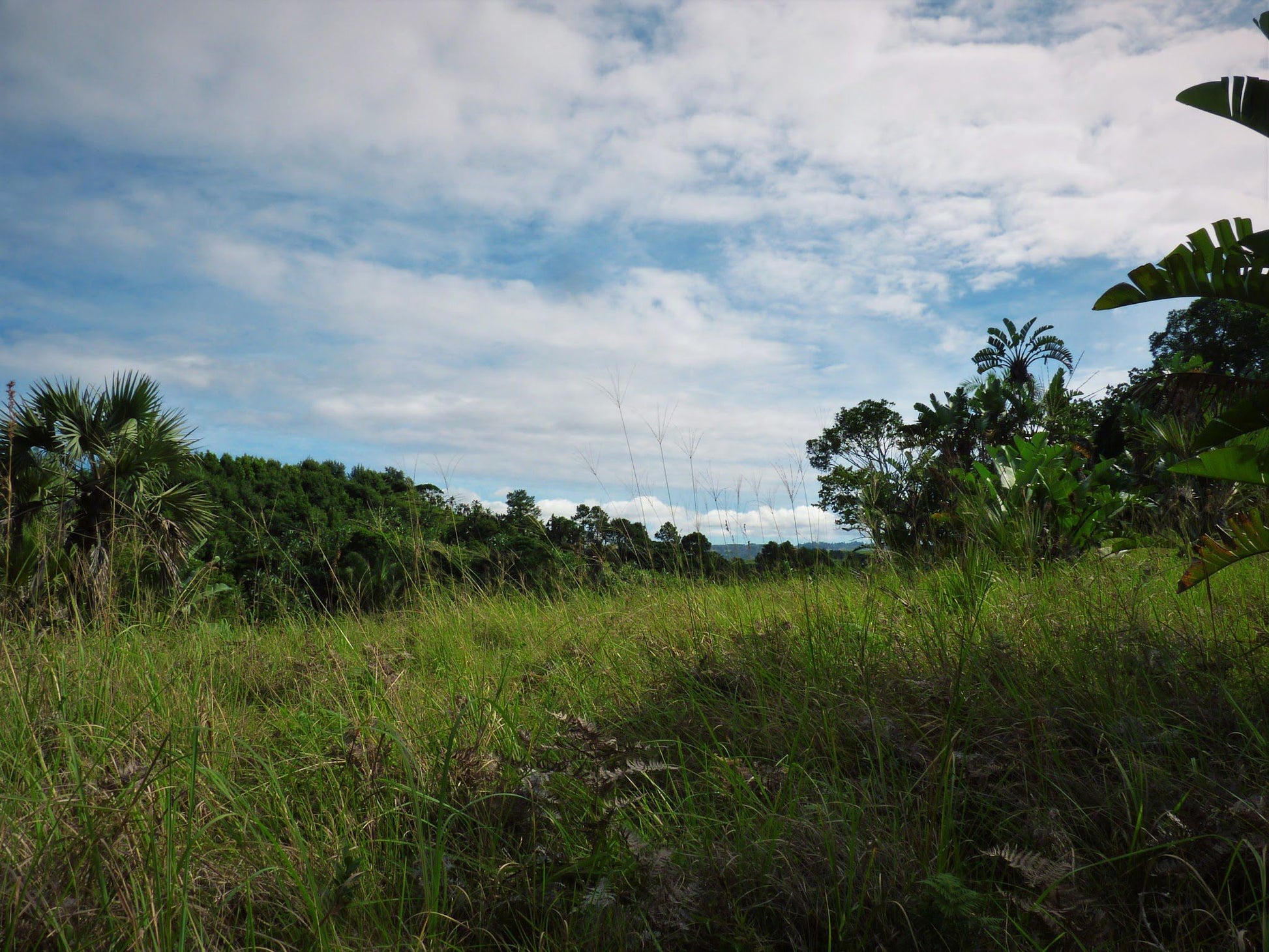  Skyline Nature Reserve