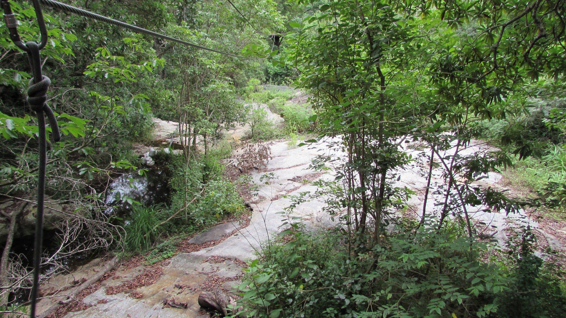  Skyway Trails