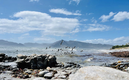  Slangkop Lighthouse