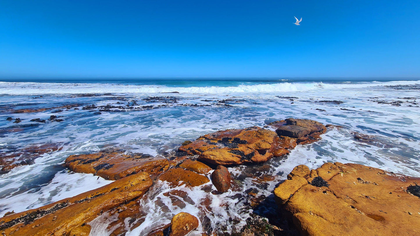  Slangkop Lighthouse