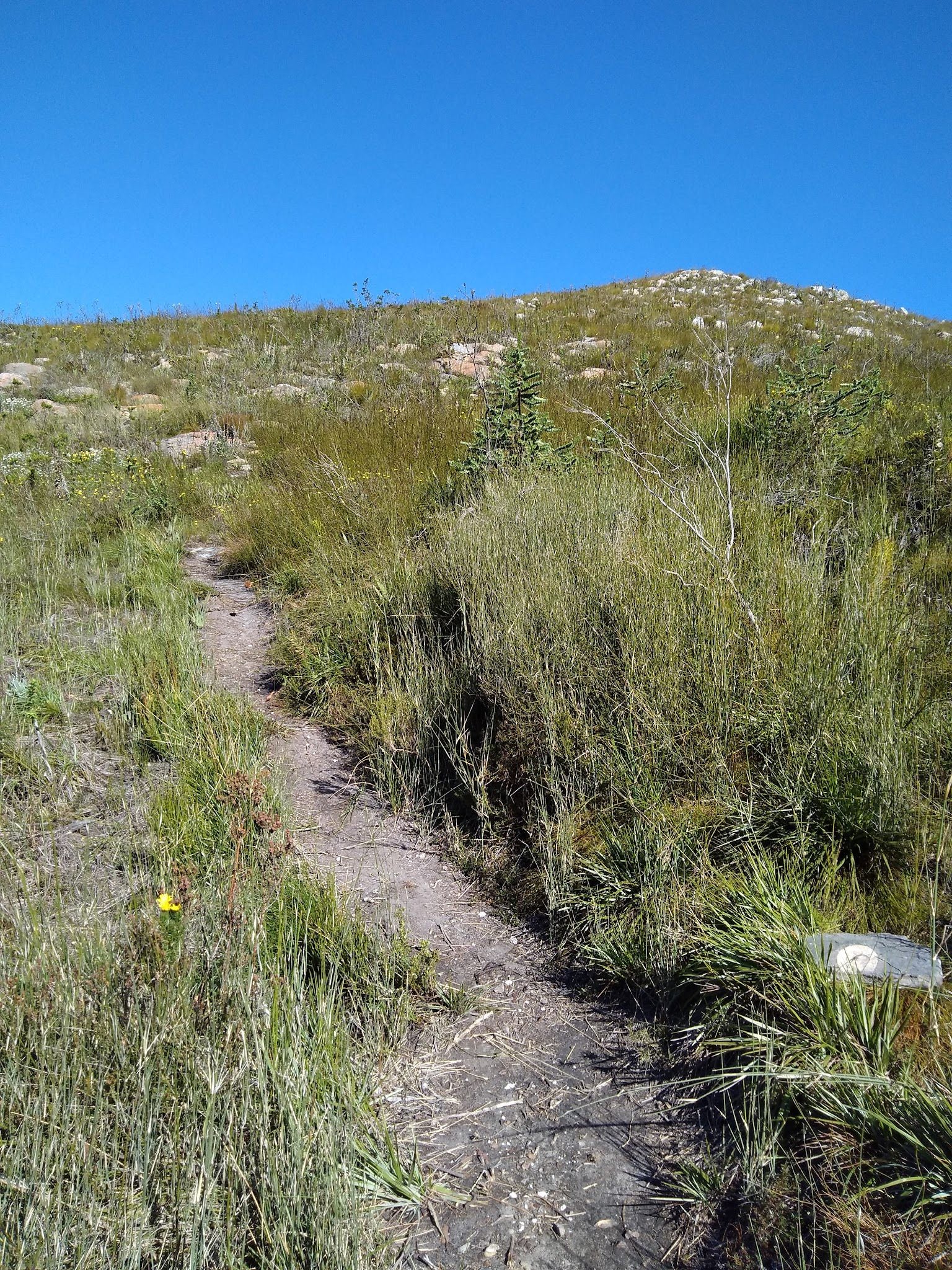  Sleeping Beauty Hiking Trail