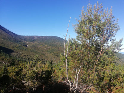 Sleepkloof Hut