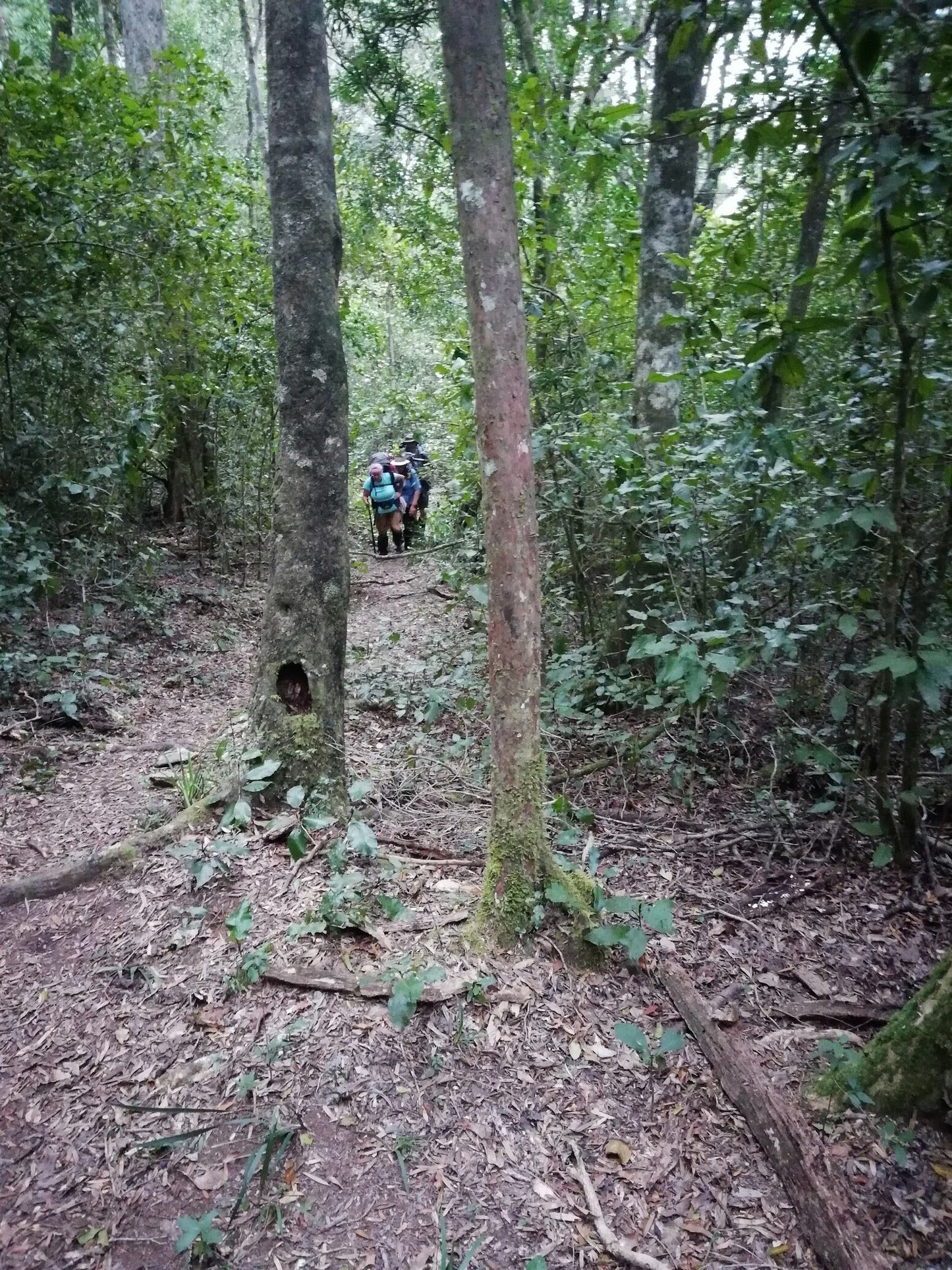 Sleepkloof Hut