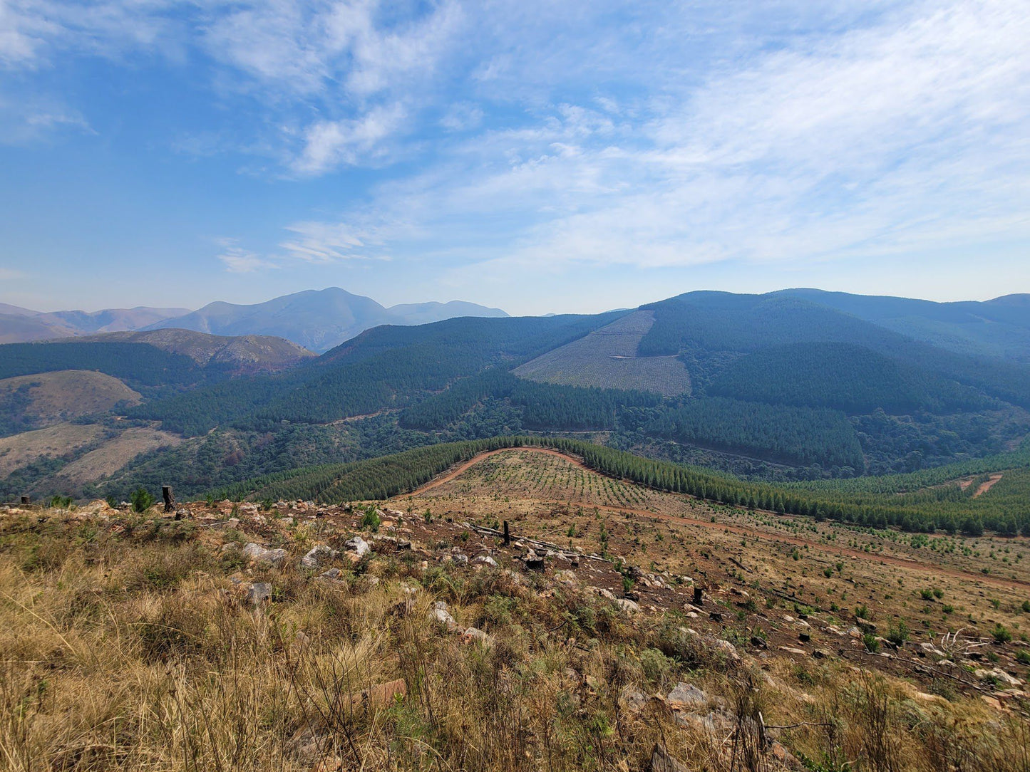  Songimvelo Nature Reserve