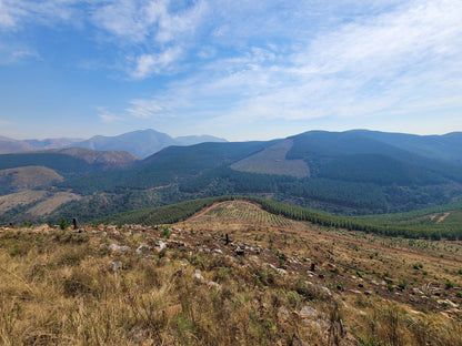  Songimvelo Nature Reserve