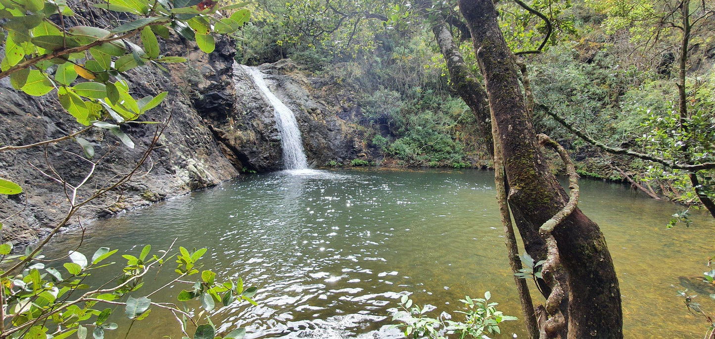  Songimvelo Nature Reserve